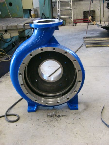 volute